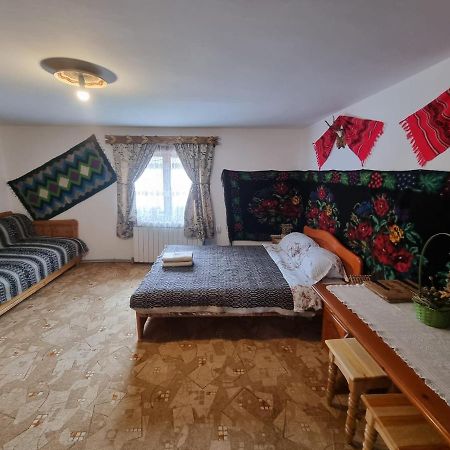 Pensiunea Agroturistica Casa Colinita Vatra Moldovitei Luaran gambar