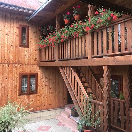 Pensiunea Agroturistica Casa Colinita Vatra Moldovitei Luaran gambar
