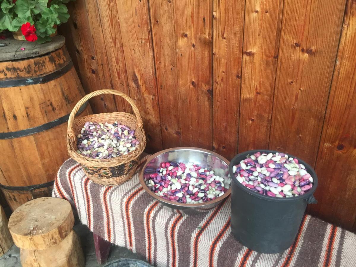 Pensiunea Agroturistica Casa Colinita Vatra Moldovitei Luaran gambar
