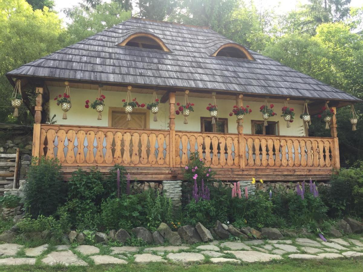 Pensiunea Agroturistica Casa Colinita Vatra Moldovitei Luaran gambar
