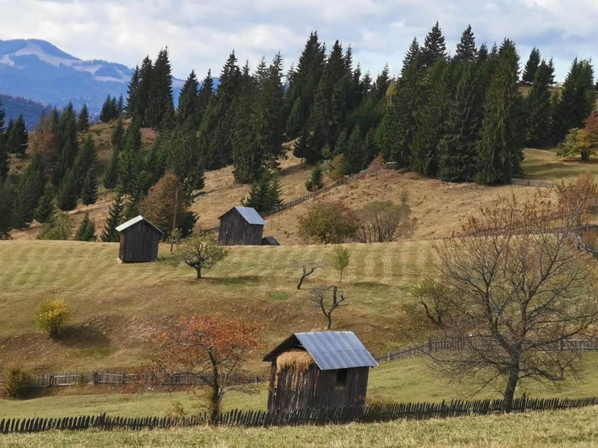 Pensiunea Agroturistica Casa Colinita Vatra Moldovitei Luaran gambar