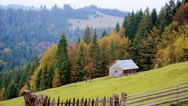 Pensiunea Agroturistica Casa Colinita Vatra Moldovitei Luaran gambar