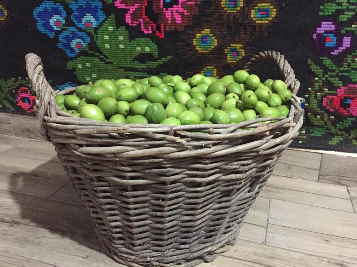 Pensiunea Agroturistica Casa Colinita Vatra Moldovitei Luaran gambar