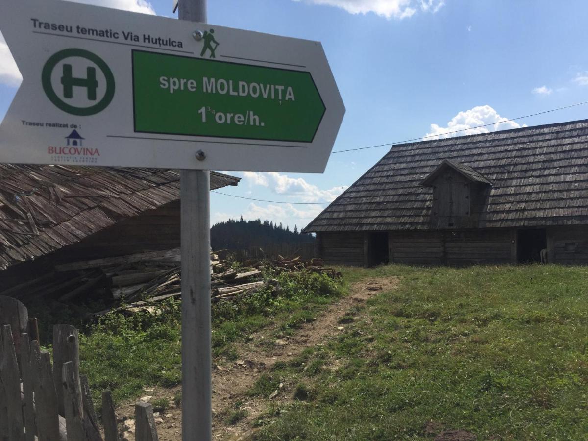 Pensiunea Agroturistica Casa Colinita Vatra Moldovitei Luaran gambar