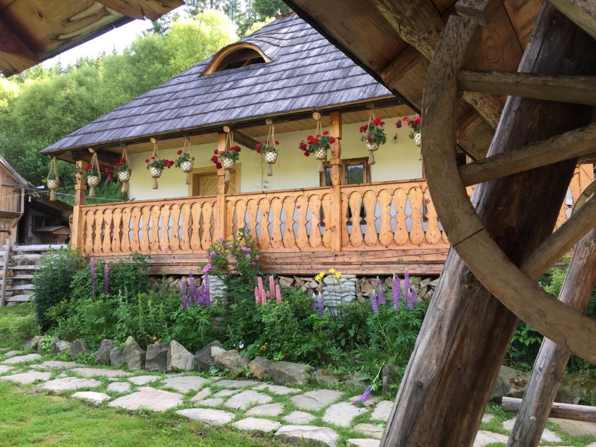 Pensiunea Agroturistica Casa Colinita Vatra Moldovitei Luaran gambar