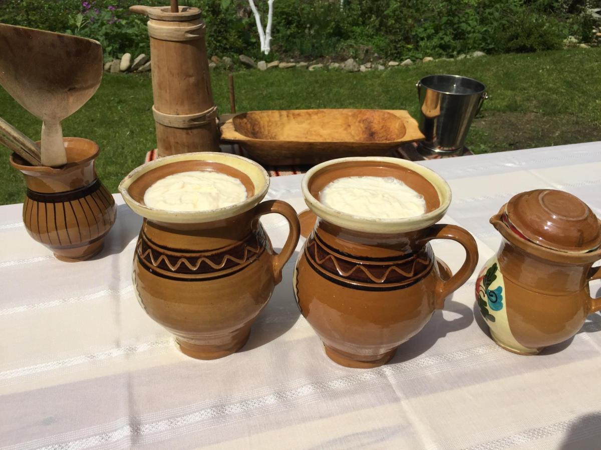 Pensiunea Agroturistica Casa Colinita Vatra Moldovitei Luaran gambar