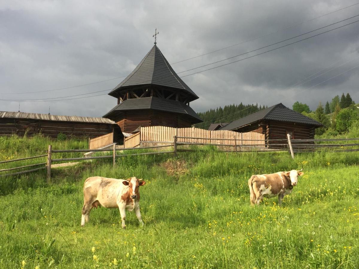 Pensiunea Agroturistica Casa Colinita Vatra Moldovitei Luaran gambar