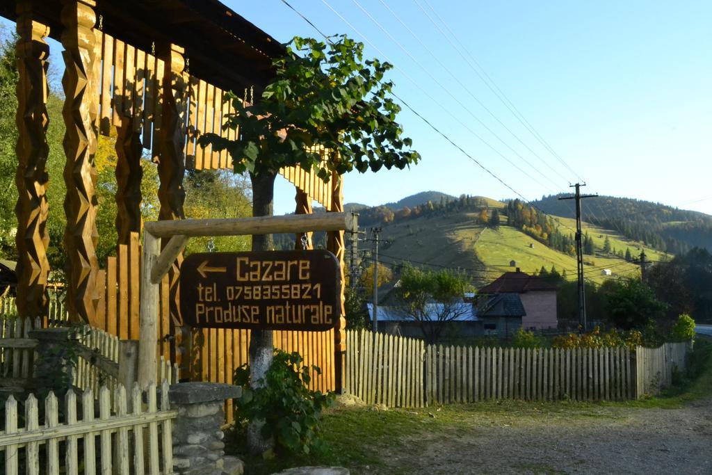 Pensiunea Agroturistica Casa Colinita Vatra Moldovitei Luaran gambar