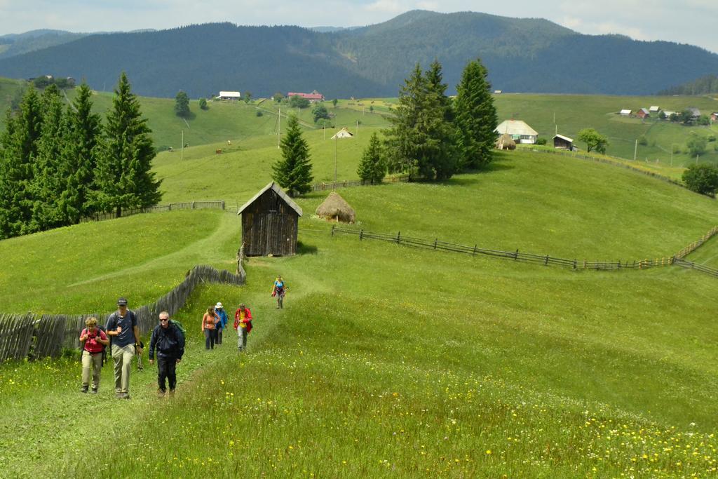 Pensiunea Agroturistica Casa Colinita Vatra Moldovitei Luaran gambar