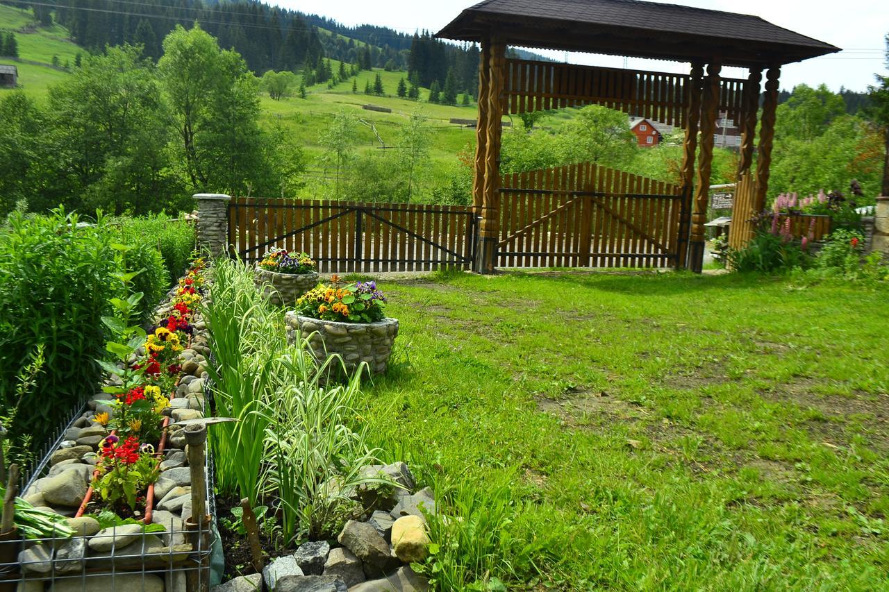 Pensiunea Agroturistica Casa Colinita Vatra Moldovitei Luaran gambar