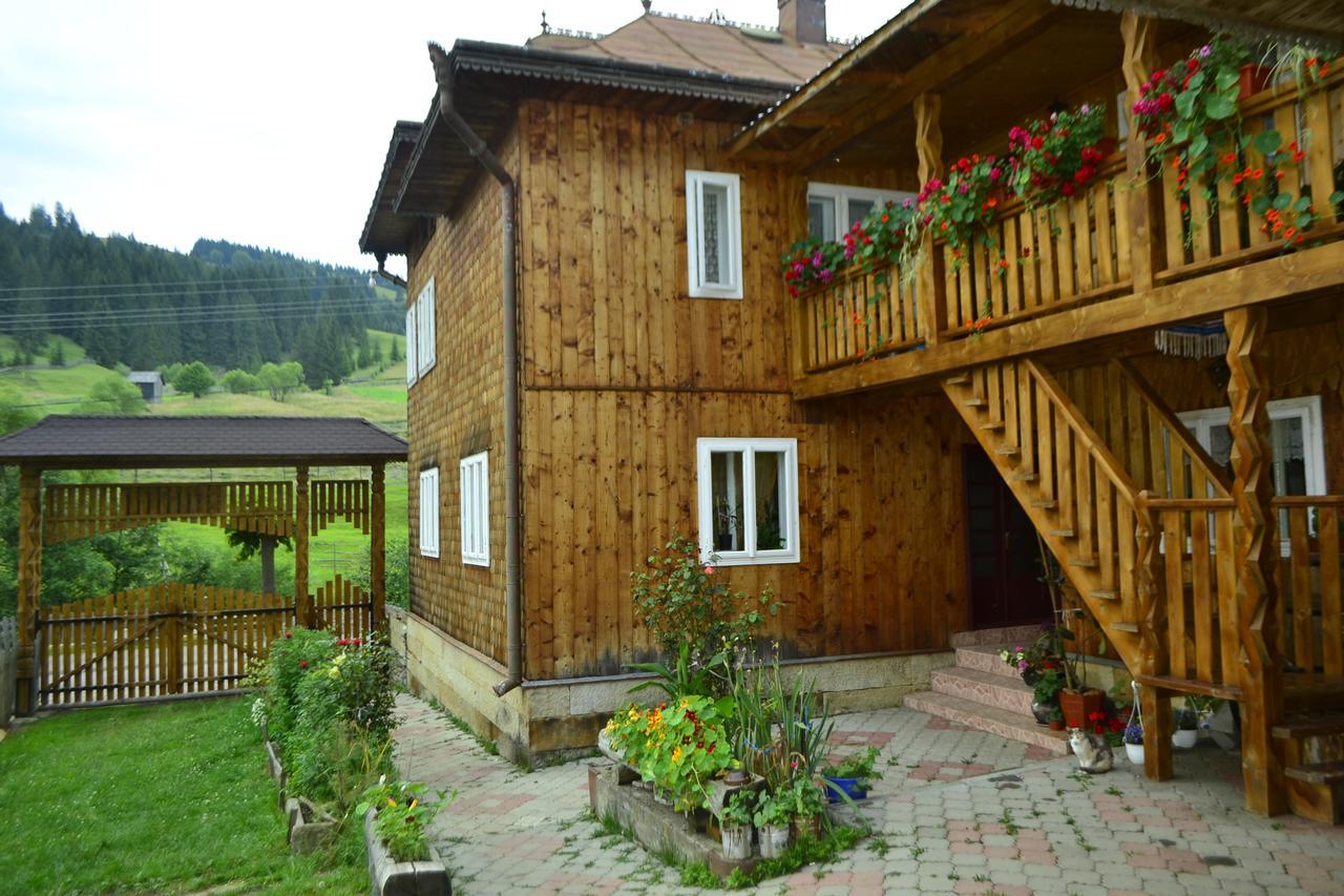 Pensiunea Agroturistica Casa Colinita Vatra Moldovitei Luaran gambar